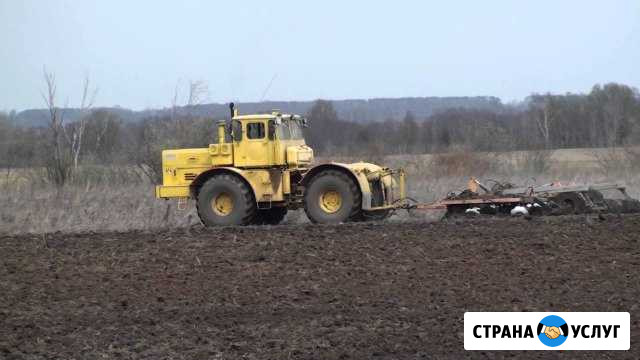 Дискование, вспашка,глубокорыхление,уборка Бутурлиновка - изображение 1