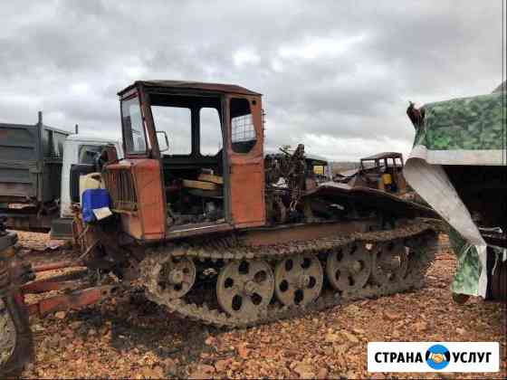 Трелевочник.тдт 55 Великий Новгород