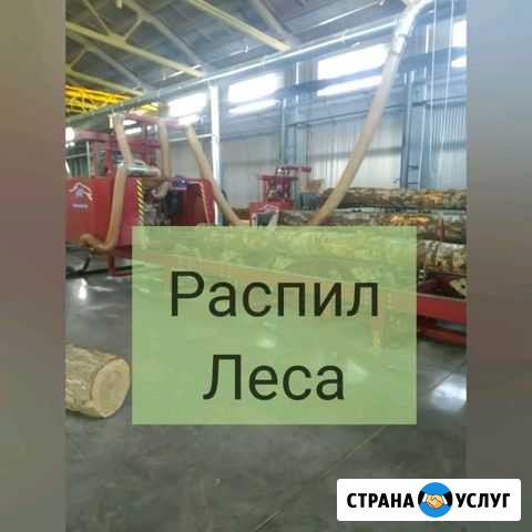 Сушка, распиловка, термообработка Дорогобуж - изображение 1