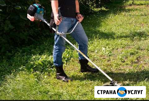 Предложение услуги Михайловка - изображение 1