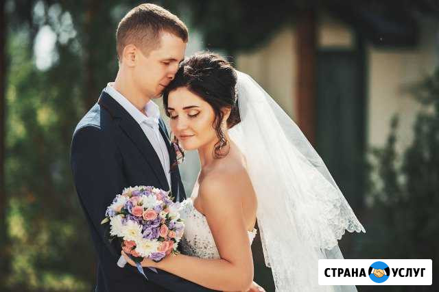 Свадебная фотосъемка. Семейная фотосъемка Сафоново - изображение 1