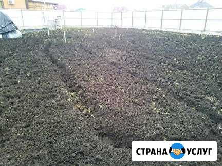 Вспашка земли Рыбинск - изображение 1