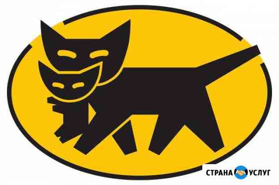 Грузчики(трезвые, спортивные) с транспортом Мичуринск