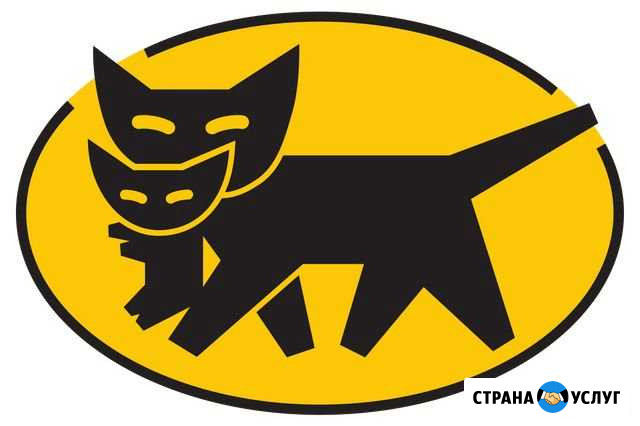 Грузчики(трезвые, спортивные) с транспортом Мичуринск - изображение 1