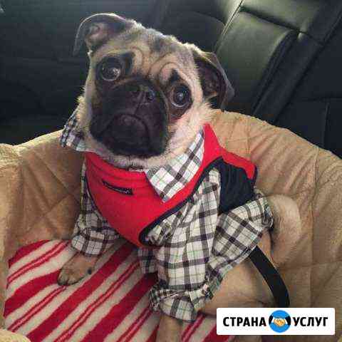 Репетитор по математике Москва