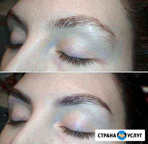 Архитектура и окрашивание бровей Москва