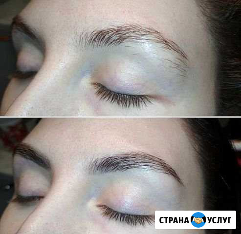 Архитектура и окрашивание бровей Москва - изображение 1