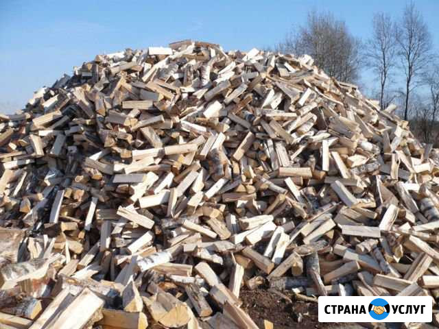 Дрова Краснокамск - изображение 1