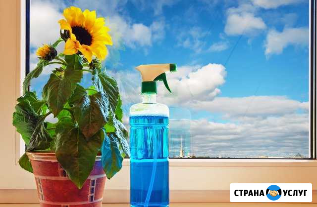 Мытьё окон, уборка квартир Вологда - изображение 1