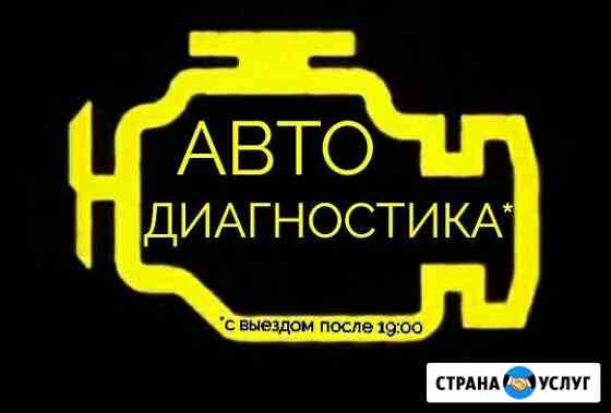 Диагностика автомобилей. Выезд Октябрьский