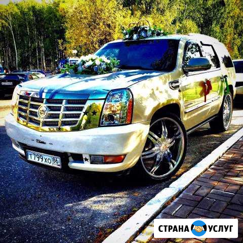 Аренда автомобиля с водителем Ханты-Мансийск - изображение 1
