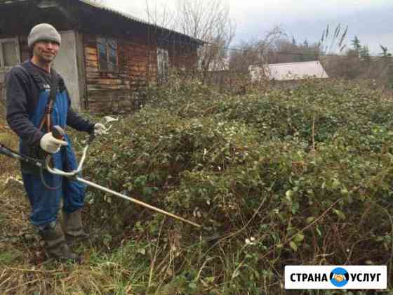 Расчистка участков спил деревьев установка забора Сочи