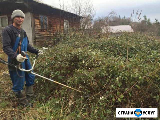 Расчистка участков спил деревьев установка забора Сочи - изображение 1