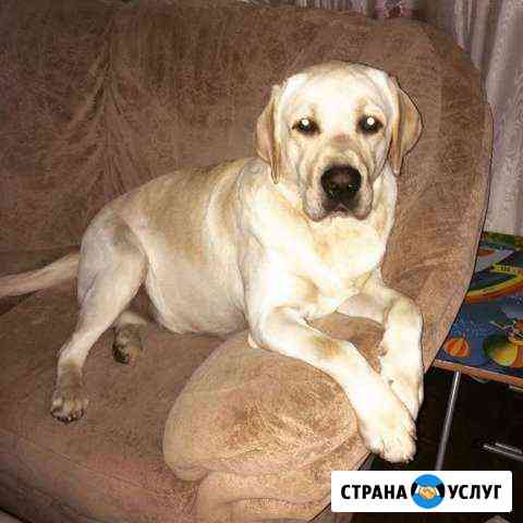Вязка Константиновск