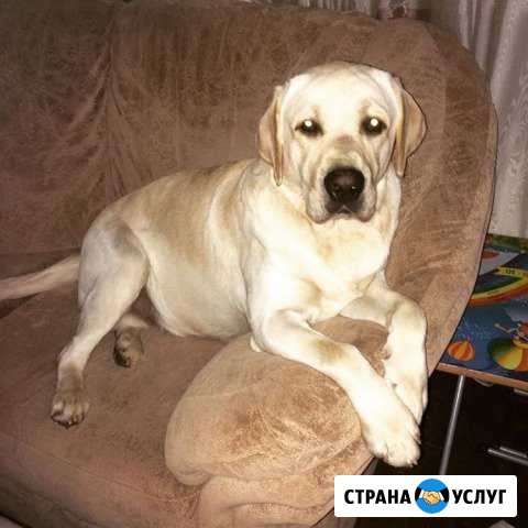 Вязка Константиновск - изображение 1