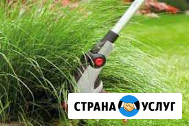 Покос травы и вырубка кустарников Вологда - изображение 1