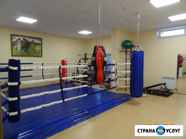 Мини-спортзал почасовая аренда Вологда - изображение 1