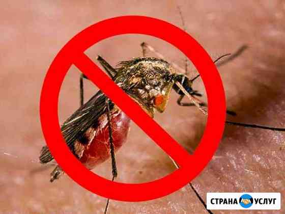Уничтожение комаров,тараканов Самара