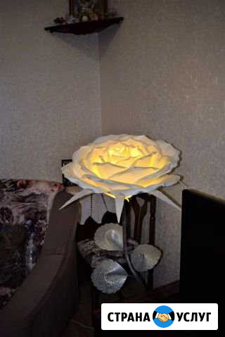 Ростовые цветы и светильники Волгоград - изображение 1