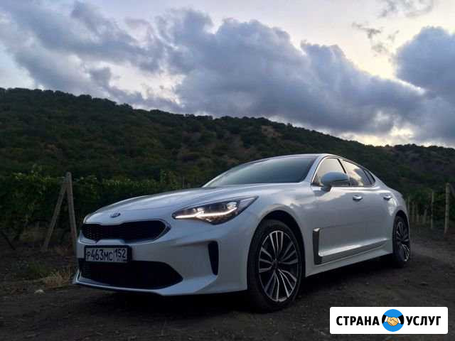 Авто на свадьбу Кулебаки - изображение 1