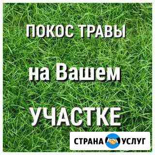 Покос травы. Демонтаж построек Сасово