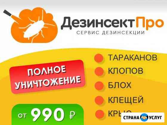 Уничтожение тараканов, клопов, блох, клещей, крыc Новороссийск