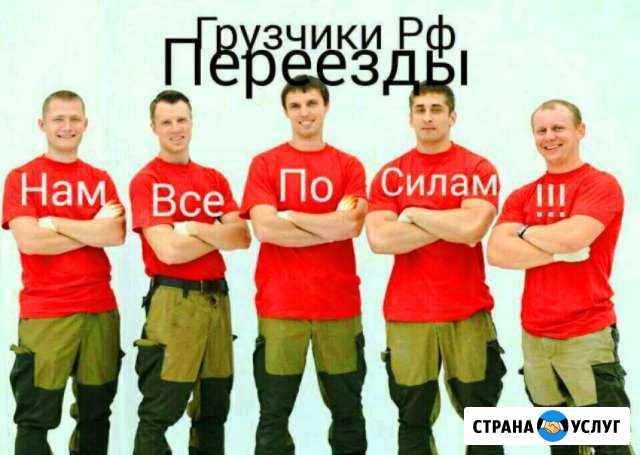 Грузчики Пушкино - изображение 1