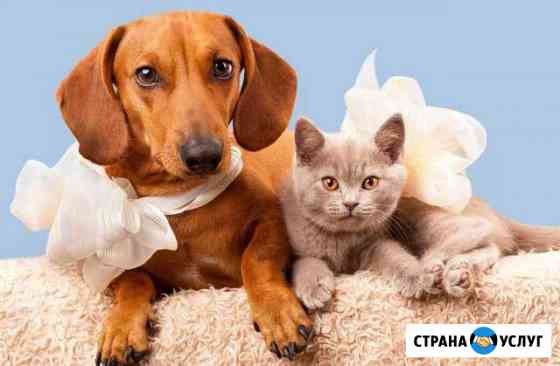 Зоогостиница.передержка животных Брянск