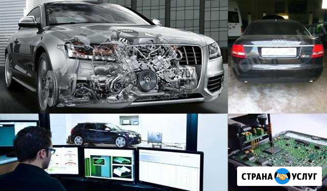 Чип тюнинг, гбо, евро-2, EGR, DPF, AdBlue Севастополь - изображение 1