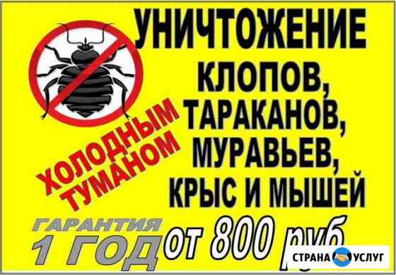 Уничтожение клопов, тараканов, клещей, комаров Бийск