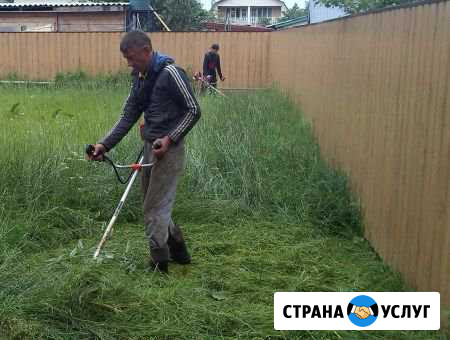 Покос травы Краснодар - изображение 1