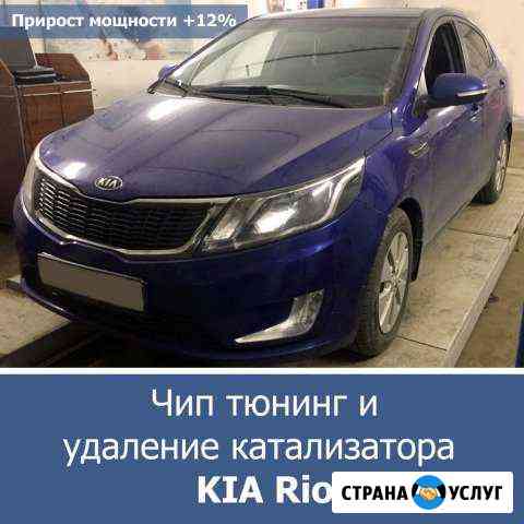 Удаление катализаторов , проффесиональный выхлоп Геленджик