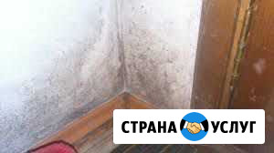 Удаление грибка Казань - изображение 1