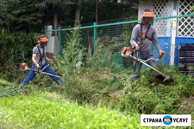Уборка участка, покос травы,уничтожение борщевика Руза - изображение 1