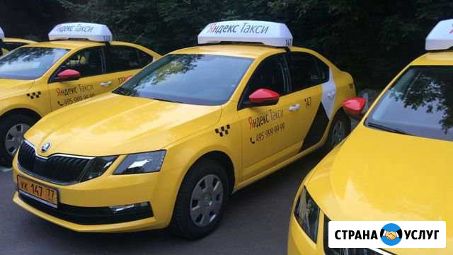 Новые Шкода Октавия 2019 г.в. за 2000- 6/1 Москва - изображение 1
