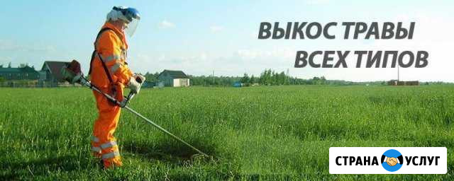 Спил деревьев покос травы любой сложности Динская - изображение 1