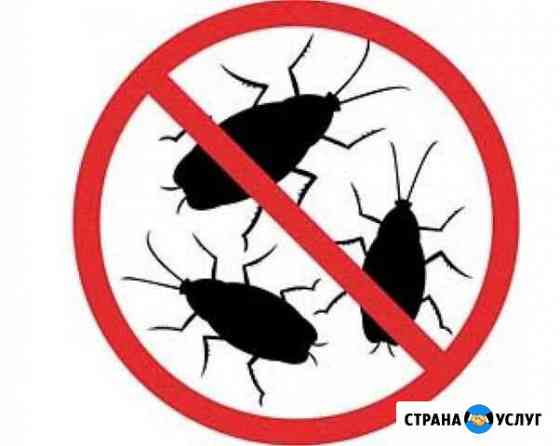 Уничтожение тараканов/клопов в Хабаровске Хабаровск