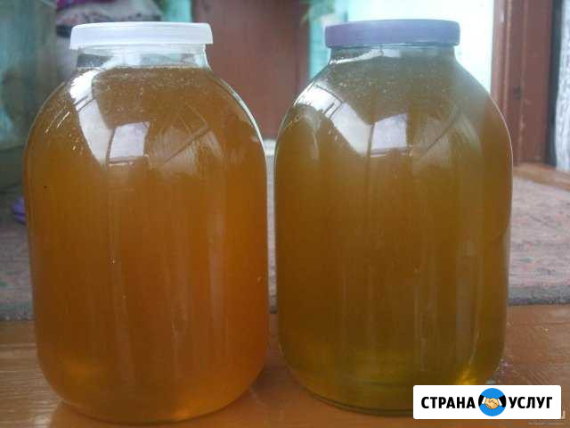 Мед.Прополис.пжвм (огневка пчелиная).Перга(паста) Иваново - изображение 1