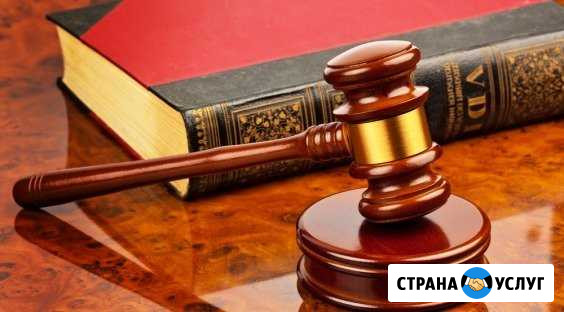 Судебные иски, отзывы и др Гатчина - изображение 1