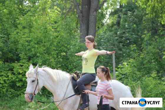 Обучение верховой езде Самара