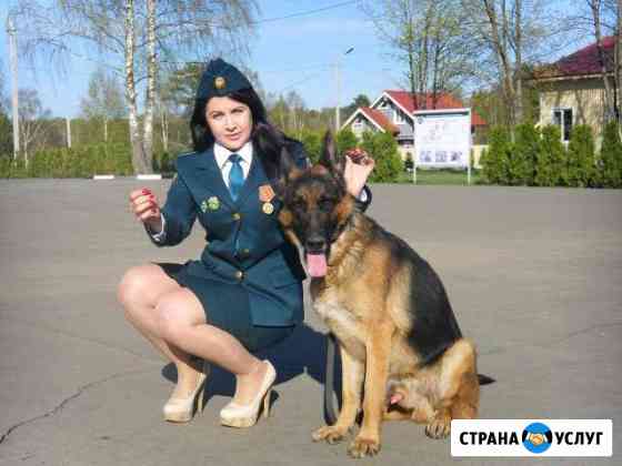 Дрессировка собак Москва