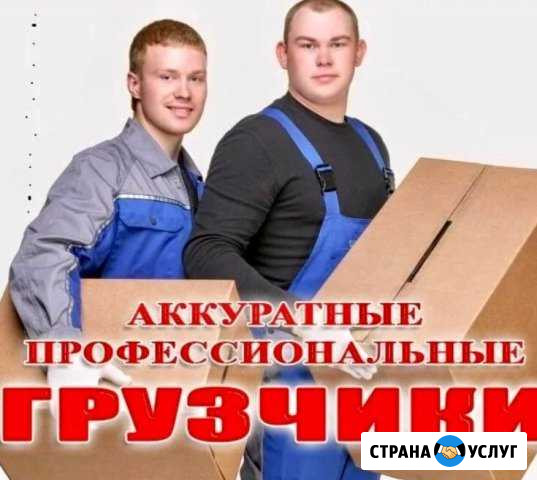Опытные грузчики Югорск - изображение 1