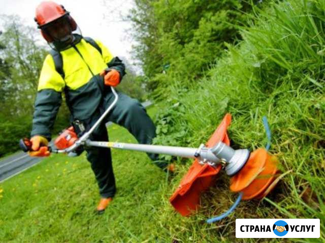 Покос травы Бурьян, газон, заросли Сибай - изображение 1