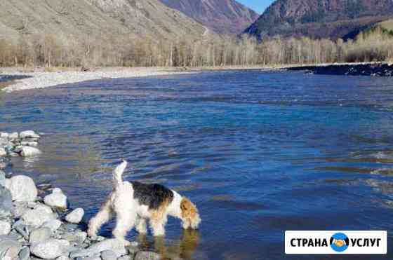 Вязка Линево