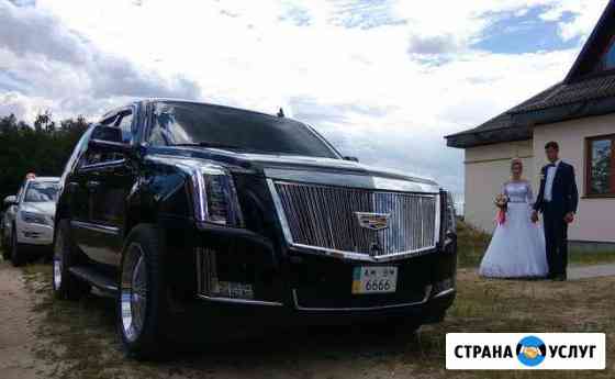 Premium Внедорожники, бизнес седаны, автобусы Выкса