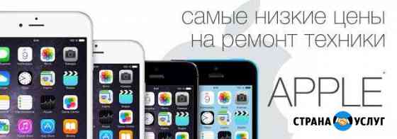 Ремонт техники apple iPhone Абакан