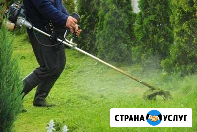 Покос травы, спил деревьев Ильский - изображение 1