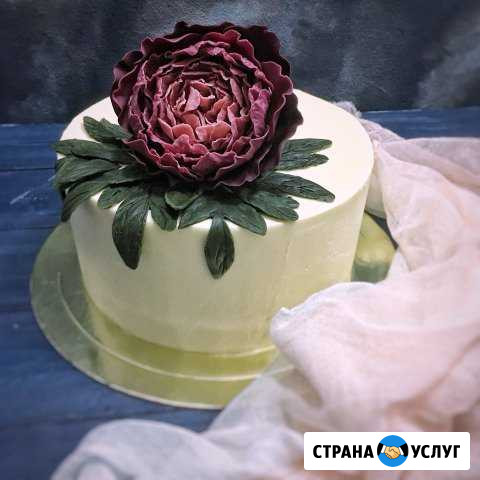 Торт на заказ Одинцово - изображение 1