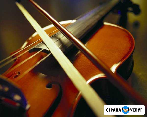 Уроки игры на скрипке Йошкар-Ола - изображение 1