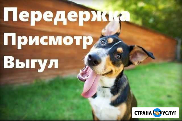 Передержка животных Тверь - изображение 1